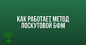 Как работает метод Лоскутовой БФМ