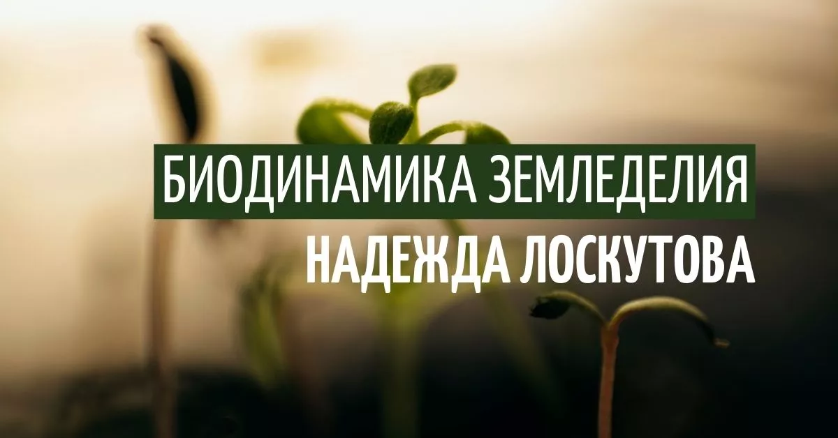 Биодинамика земледелия - что это? 